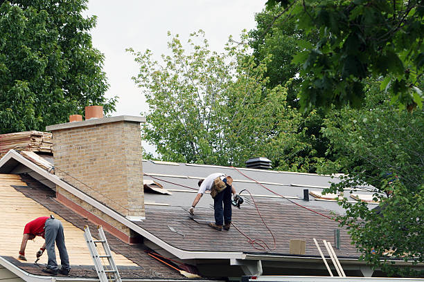 Roof Gutter Cleaning in Mentor, OH